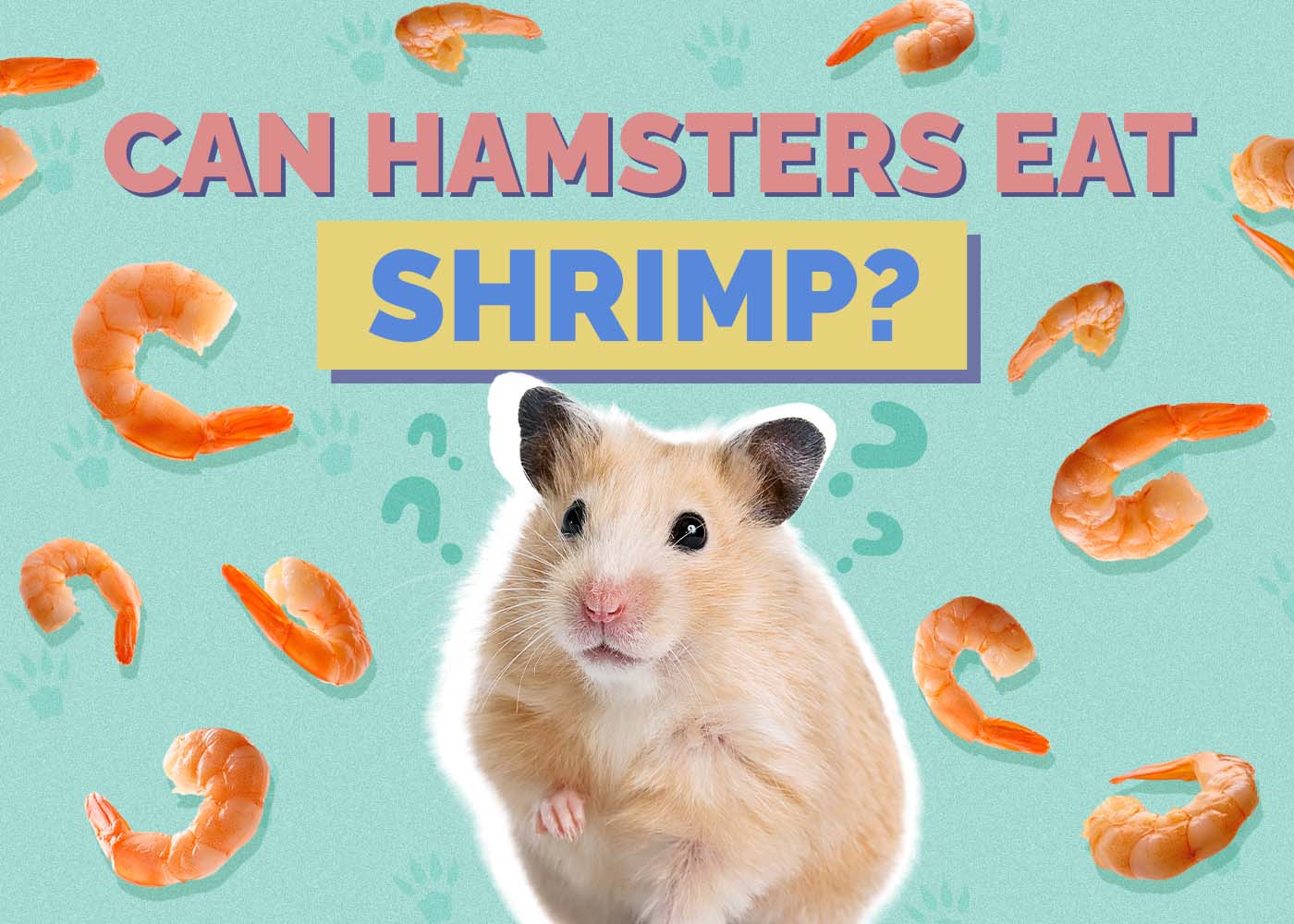 Can Hamsters Eat Shrimp? Vet-Approved Facts & FAQ