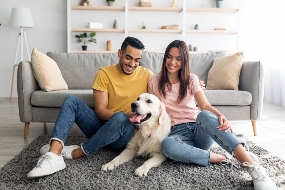 Can Dogs Get Jealous of Your Partner? 5 Vet-Reviewed Signs