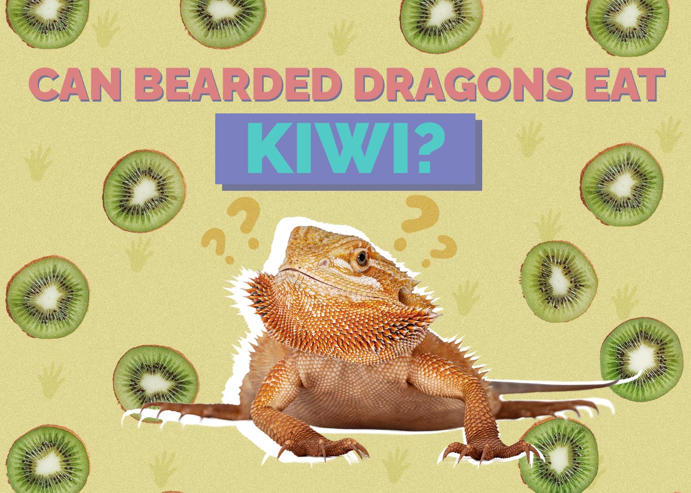 Can Bearded Dragons Eat Kiwi? Vet-Approved Nutritional Benefits & Facts