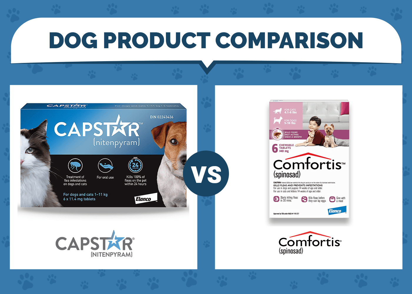 Capstar vs Comfortis Flea Treatments: Vet Approved Pros, Cons & Verdict