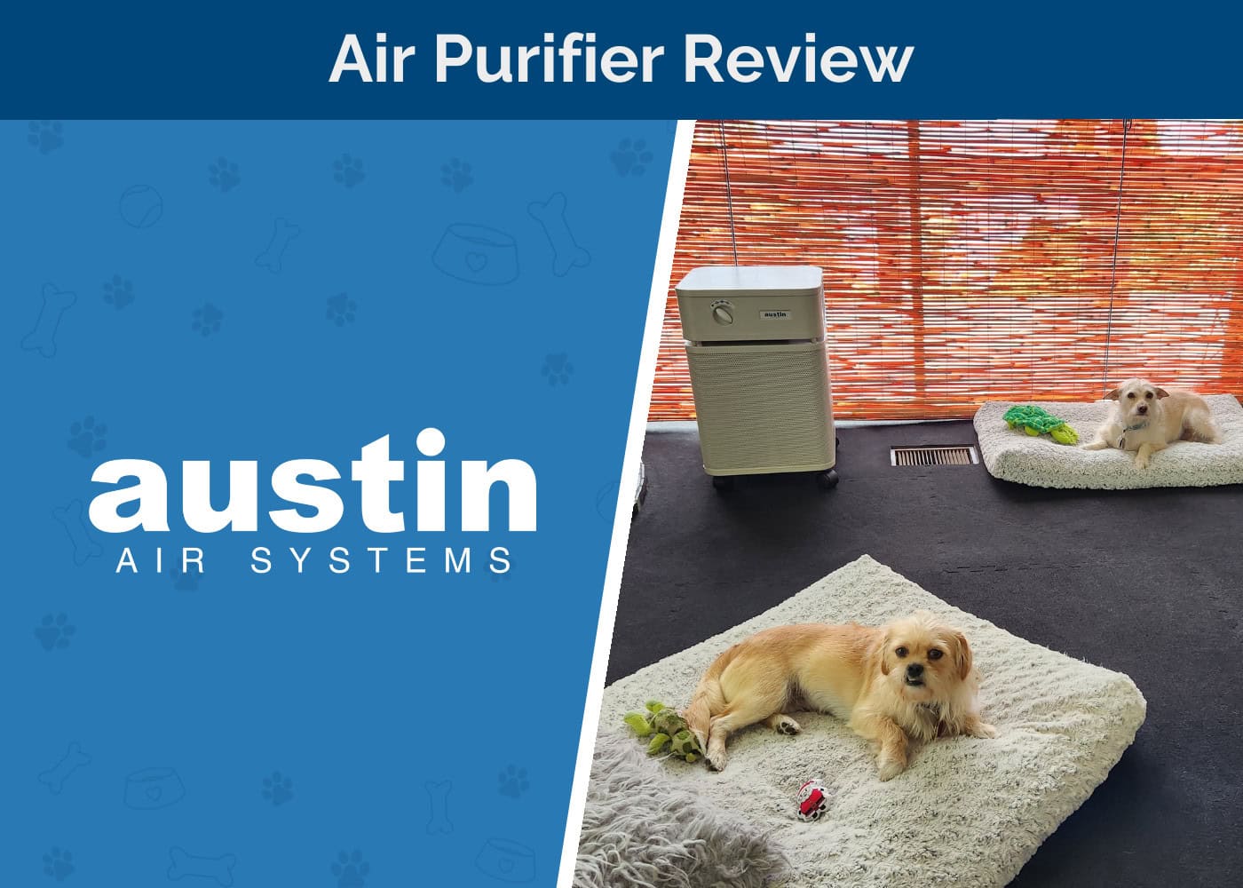 Austin Air Healthmate Air Purifier Review 2026: An Expert’s Guide