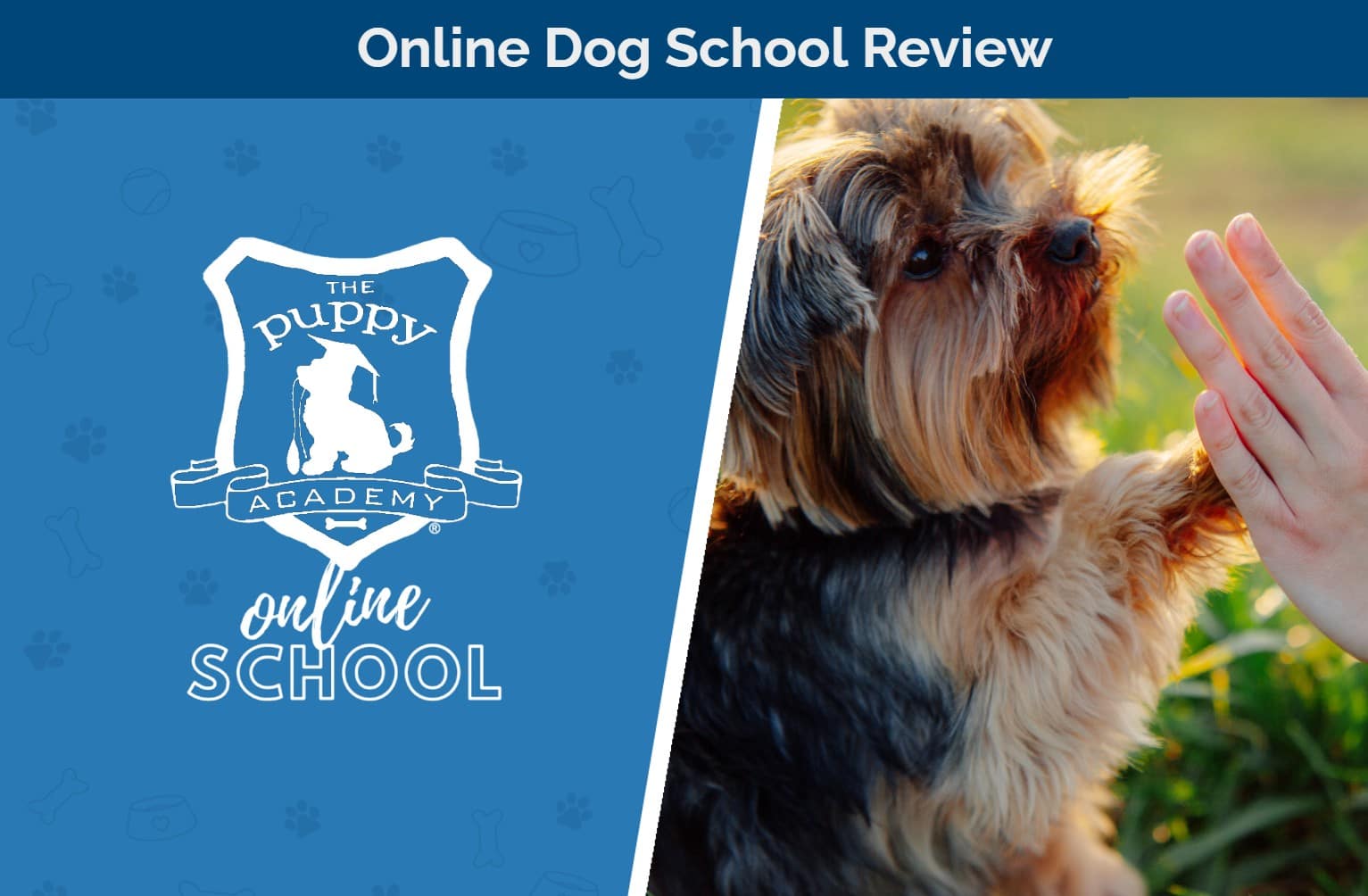 The Puppy Academy Online School Review 2026: An Expert’s Guide