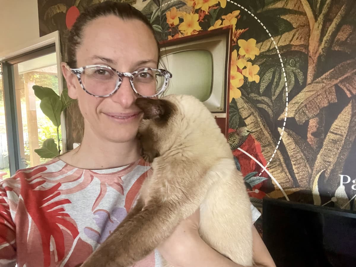 Introducing the Heppsters: Mr. Baby Cat & Nicole