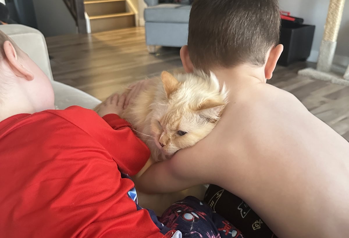 Blue Navigates Life with Human Siblings