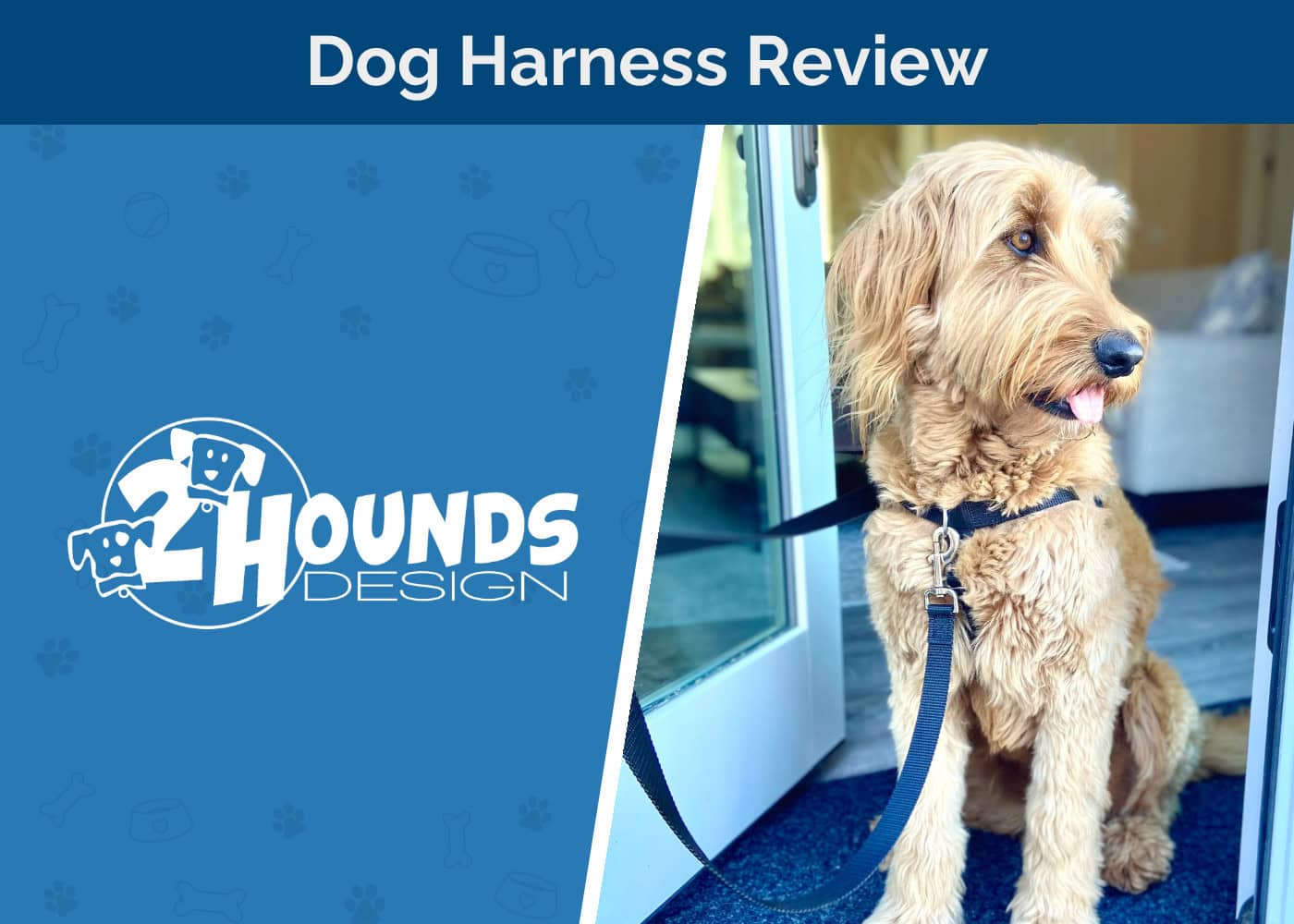 2 Hounds Design Freedom Dog Harness & Training Leash Review 2026: An Expert's Guide