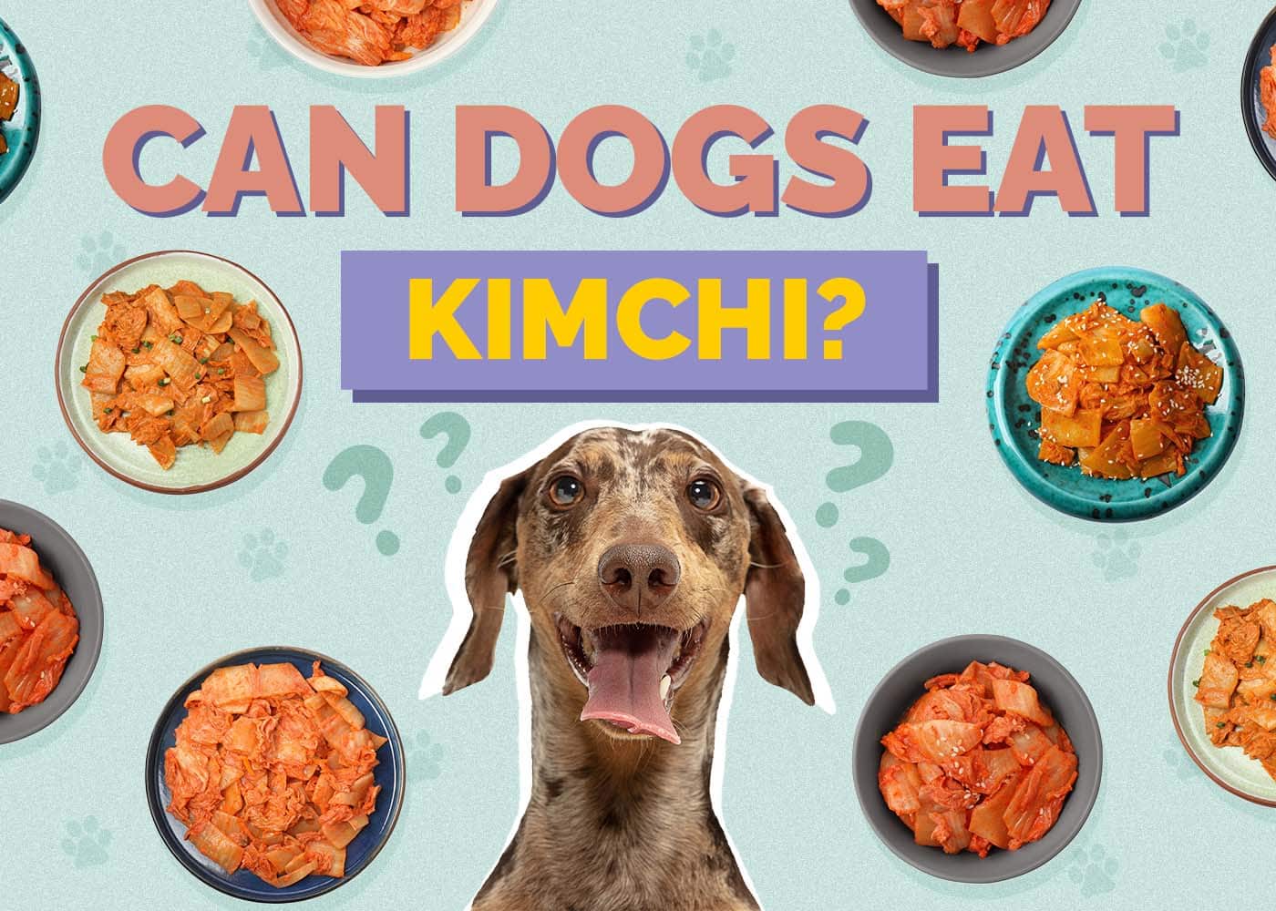 Can Dogs Eat Kimchi? Vet-Reviewed Facts & Important Considerations