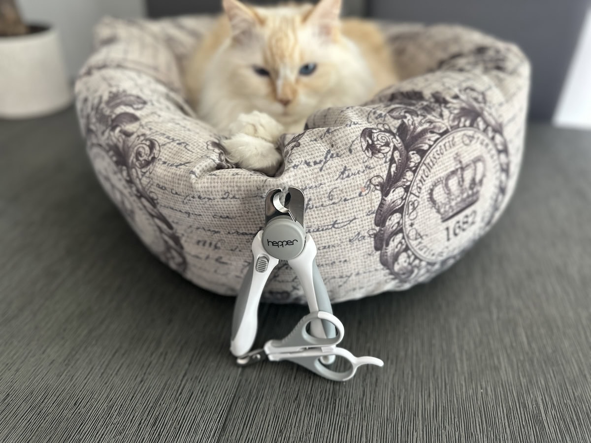8 Best Cat Nail Clippers - 2026 Reviews and Top Picks
