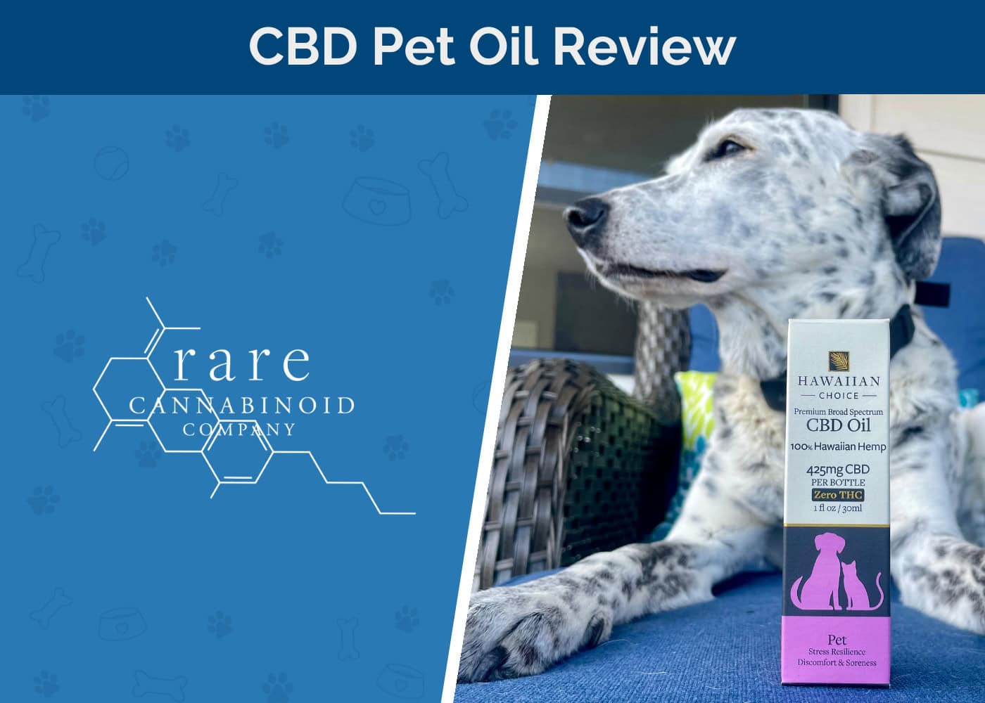 Rare Cannabinoid Company Hawaiian Choice Pet CBD Oil Review 2026: An Expert’s Guide