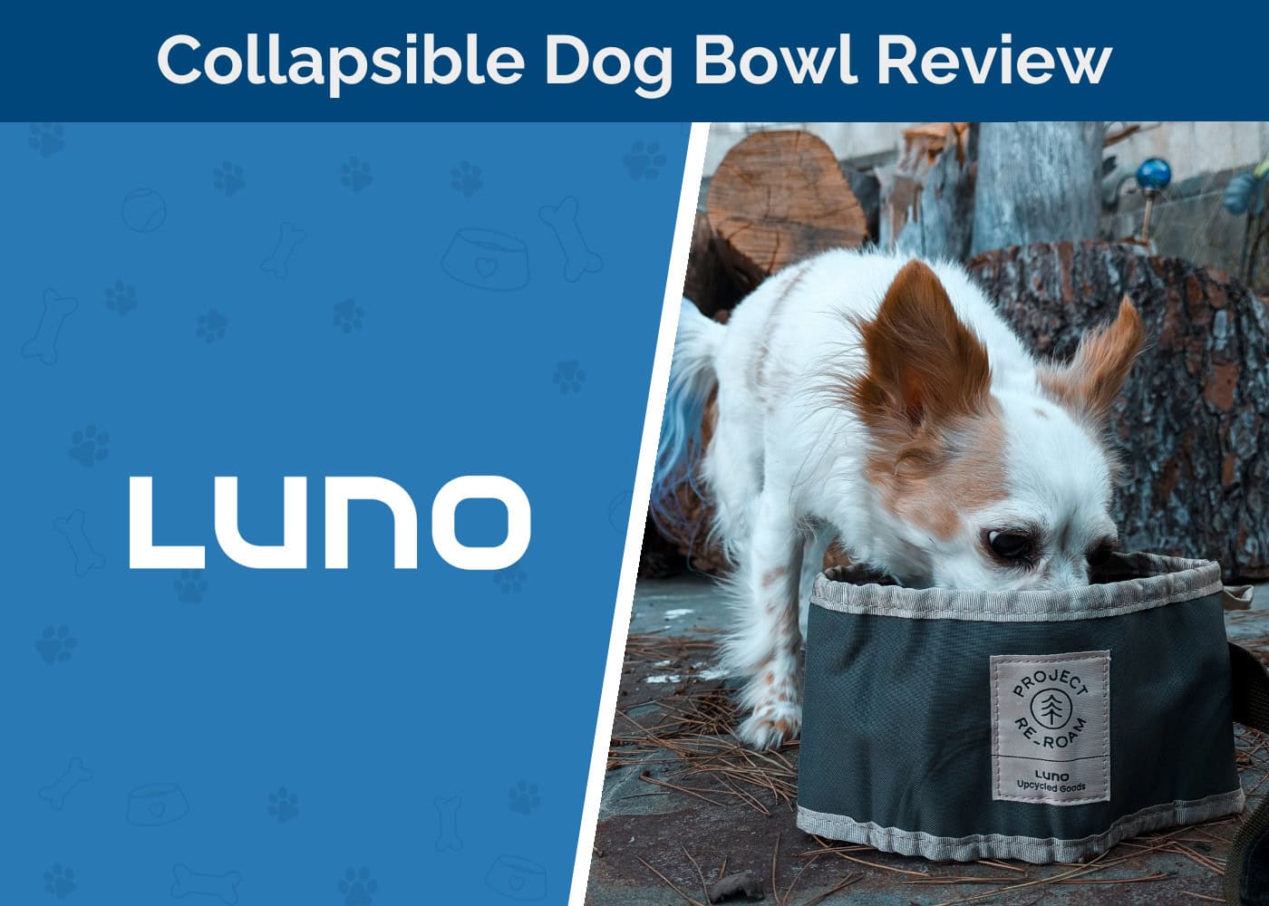 Luno Collapsible Dog Bowl Review 2026: An Expert’s Guide