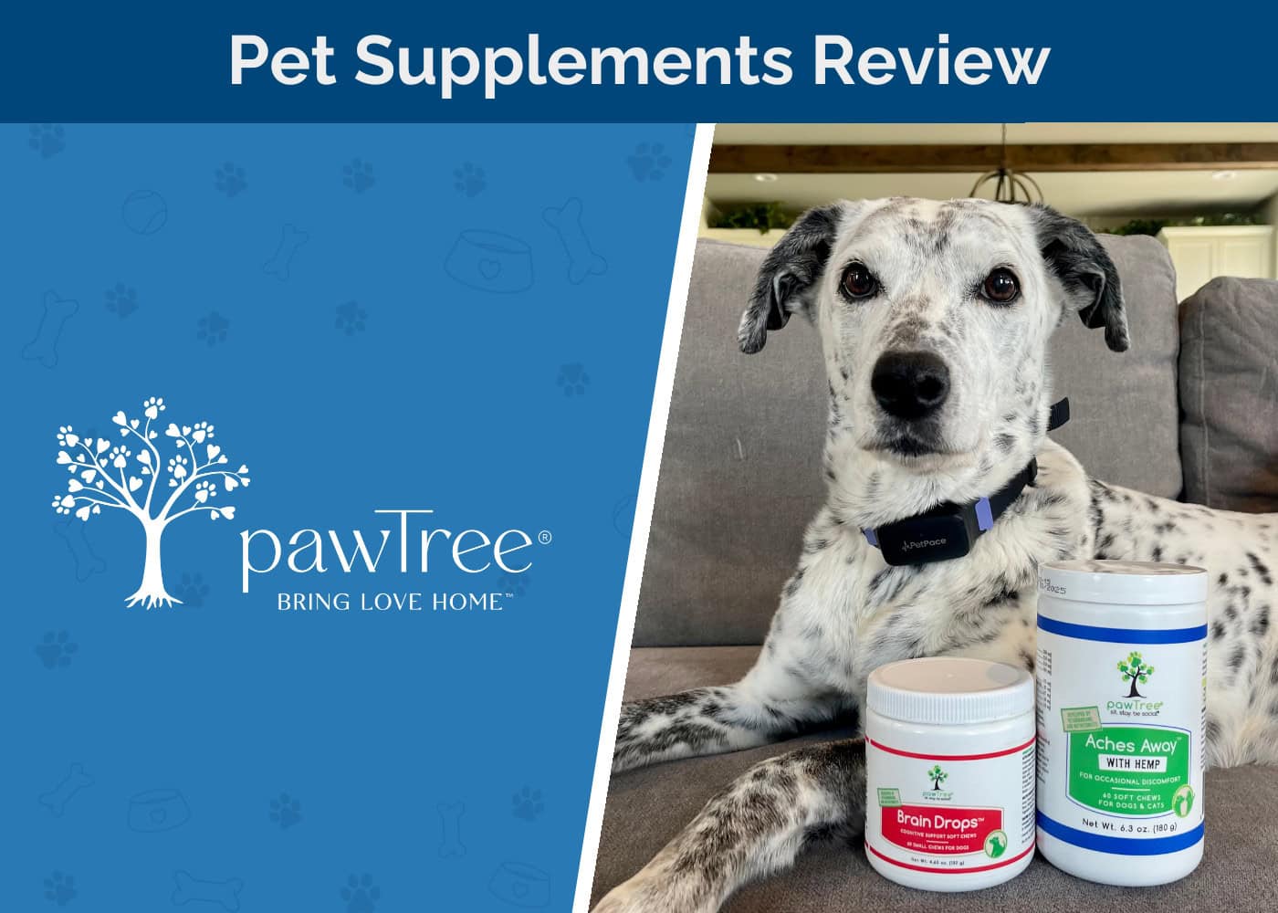 PawTree Pet Supplements Review 2026: An Expert’s Guide