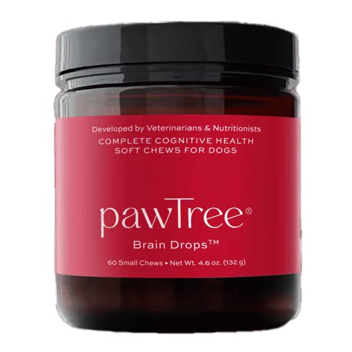 PawTree Pet Supplements - Brain Drops
