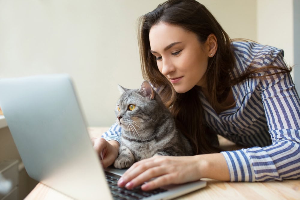 Telehealth for Cats: What Is It & Should You Do It? (Vet-Reviewed)