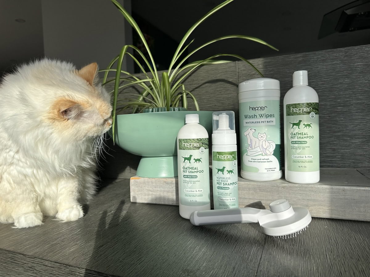 Blue the Product Tester: The Story of a Working Cat
