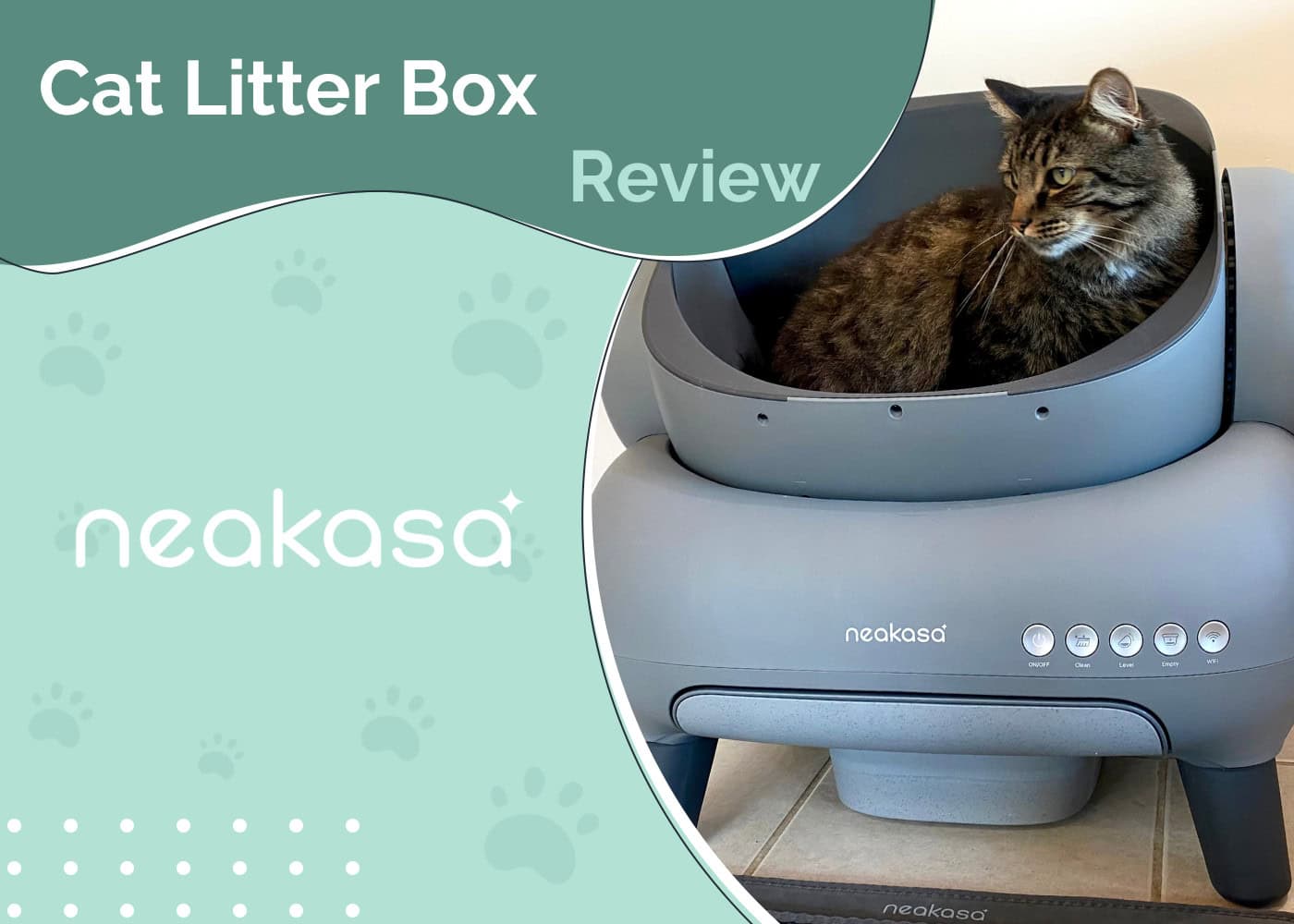 Neakasa M1 Litter Box Review 2026: An Expert’s Guide