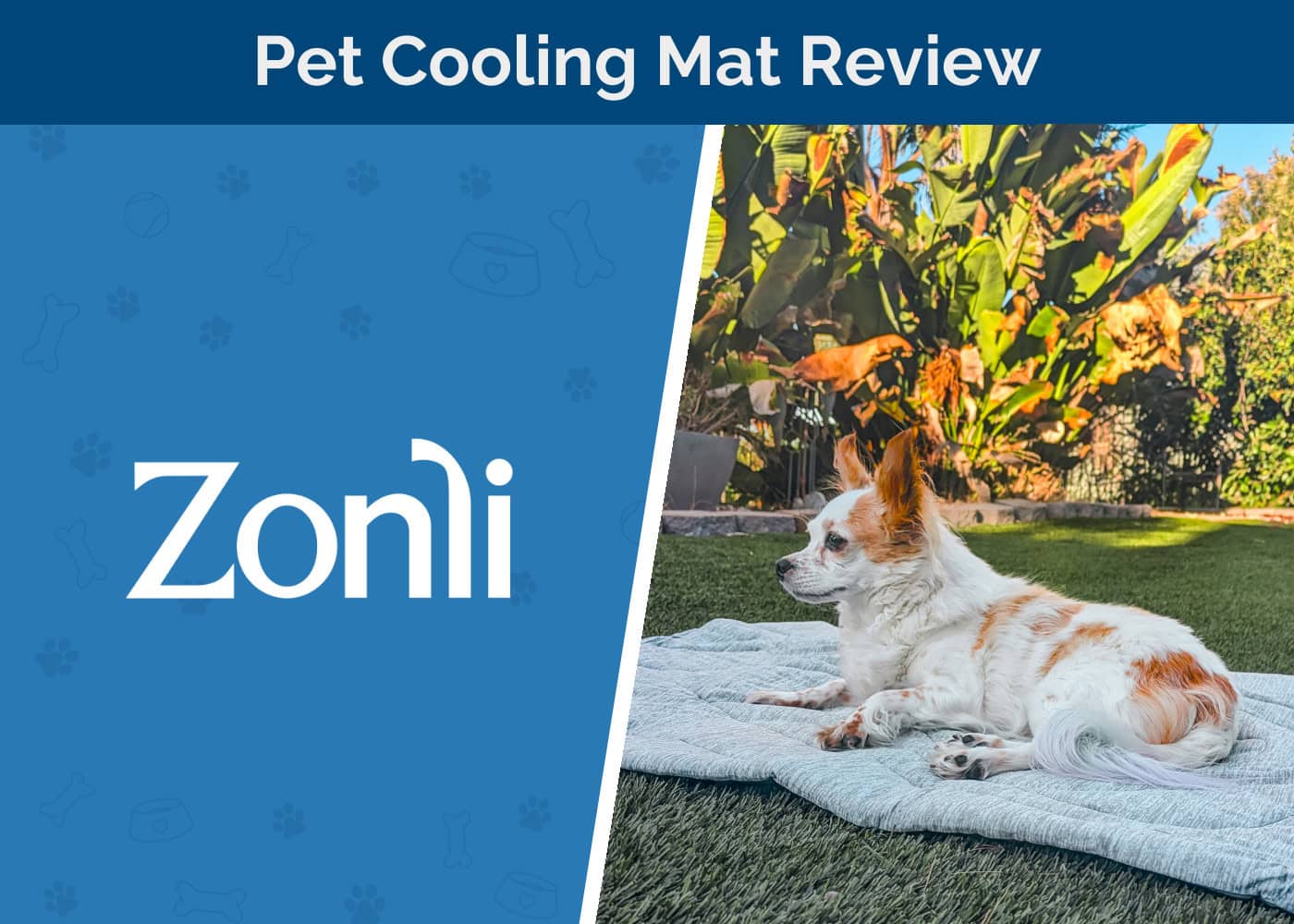 Zonli Pet Cooling Mat Review 2026: An Expert’s Guide
