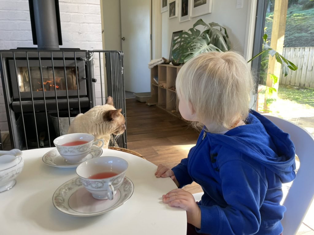 Cats & Toddlers: It's Tea Party Time