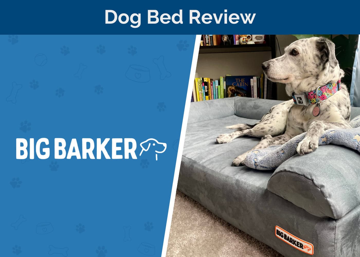 Big Barker Orthopedic Dog Bed Review 2026: An Expert’s Guide