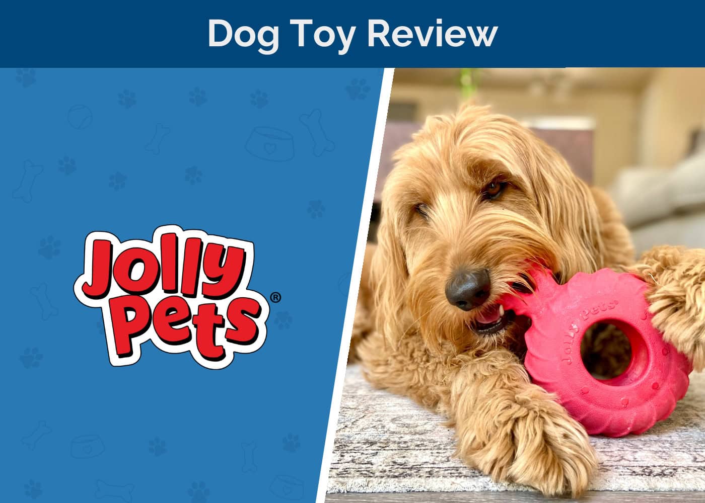 Jolly Pets Jolly Tuff Treader Review 2026: An Expert’s Guide