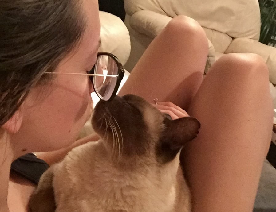 10 Things I Never Thought I’d Do As a Cat Parent