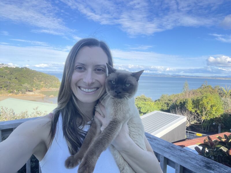 Baby Cat’s Family Vacation - Part One: Packing & Travelling With Our Cat