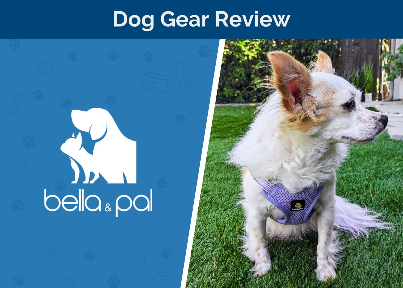 Bella & Pal OxyMesh Flexi Step-in Harness & Leash Set Review: An Expert’s Guide