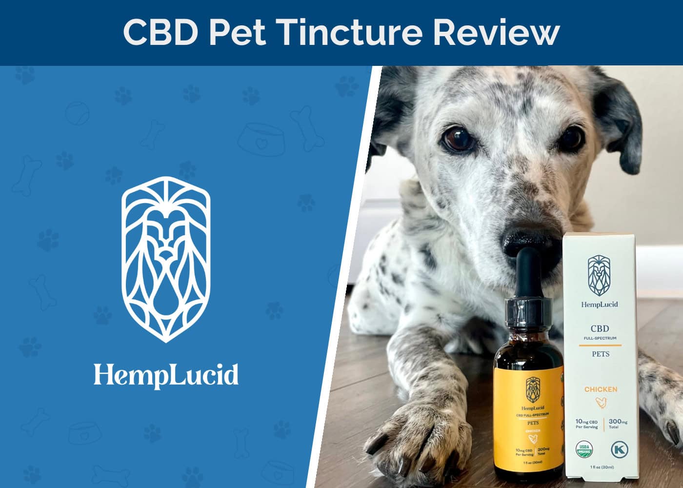 HempLucid Organic Full-Spectrum CBD for Pets Review 2026: Ragz's Trial Results & Experience