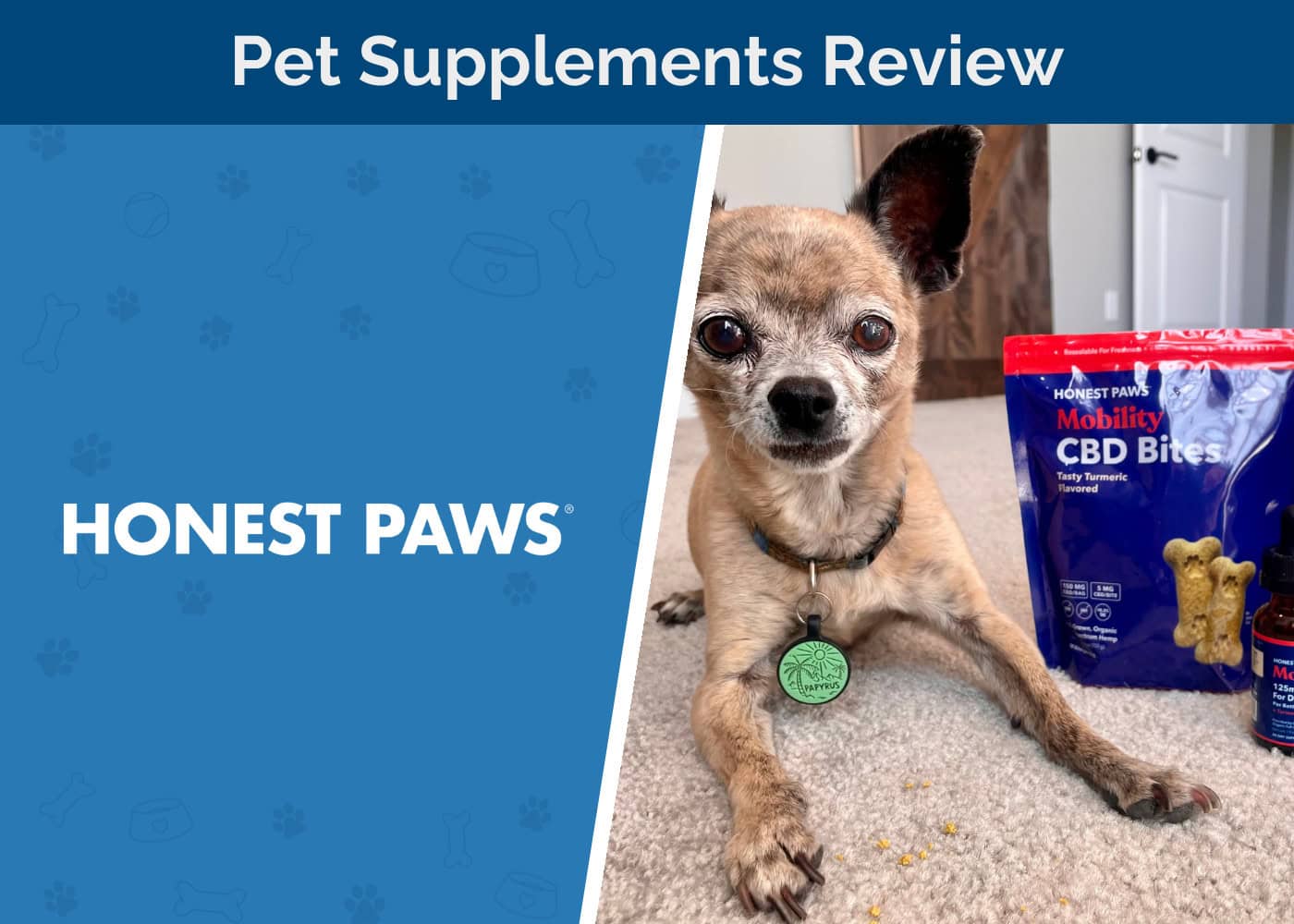 Honest Paws Review 2026: The Products I Tested & If I'd Recommend Them