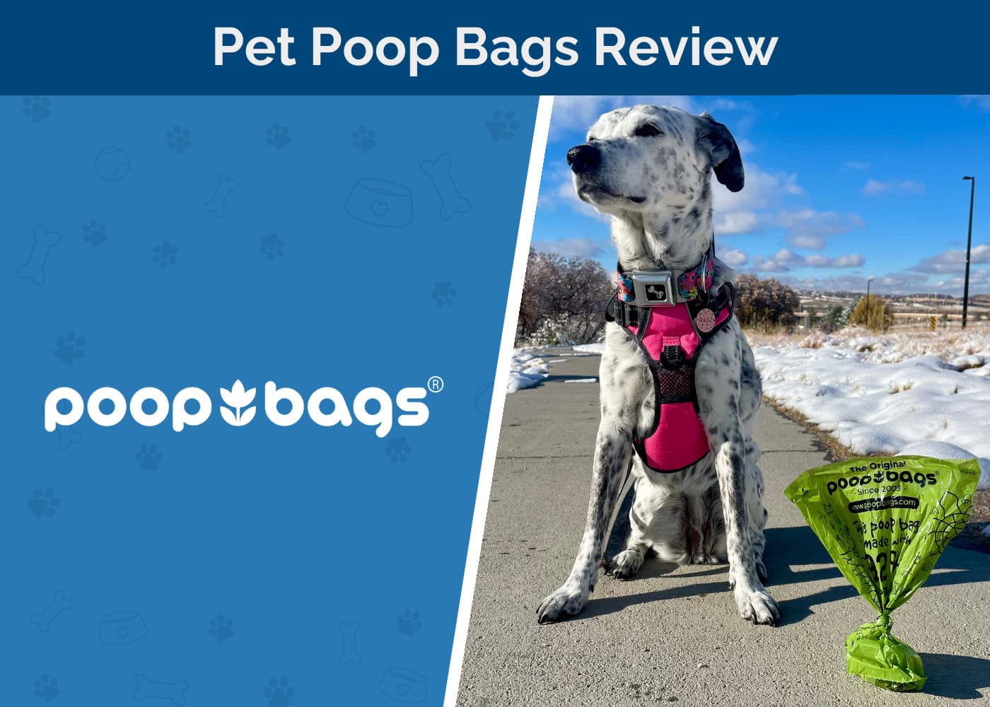 The Original Poop Bags Review 2026: A Cleaner Way to Pick Up