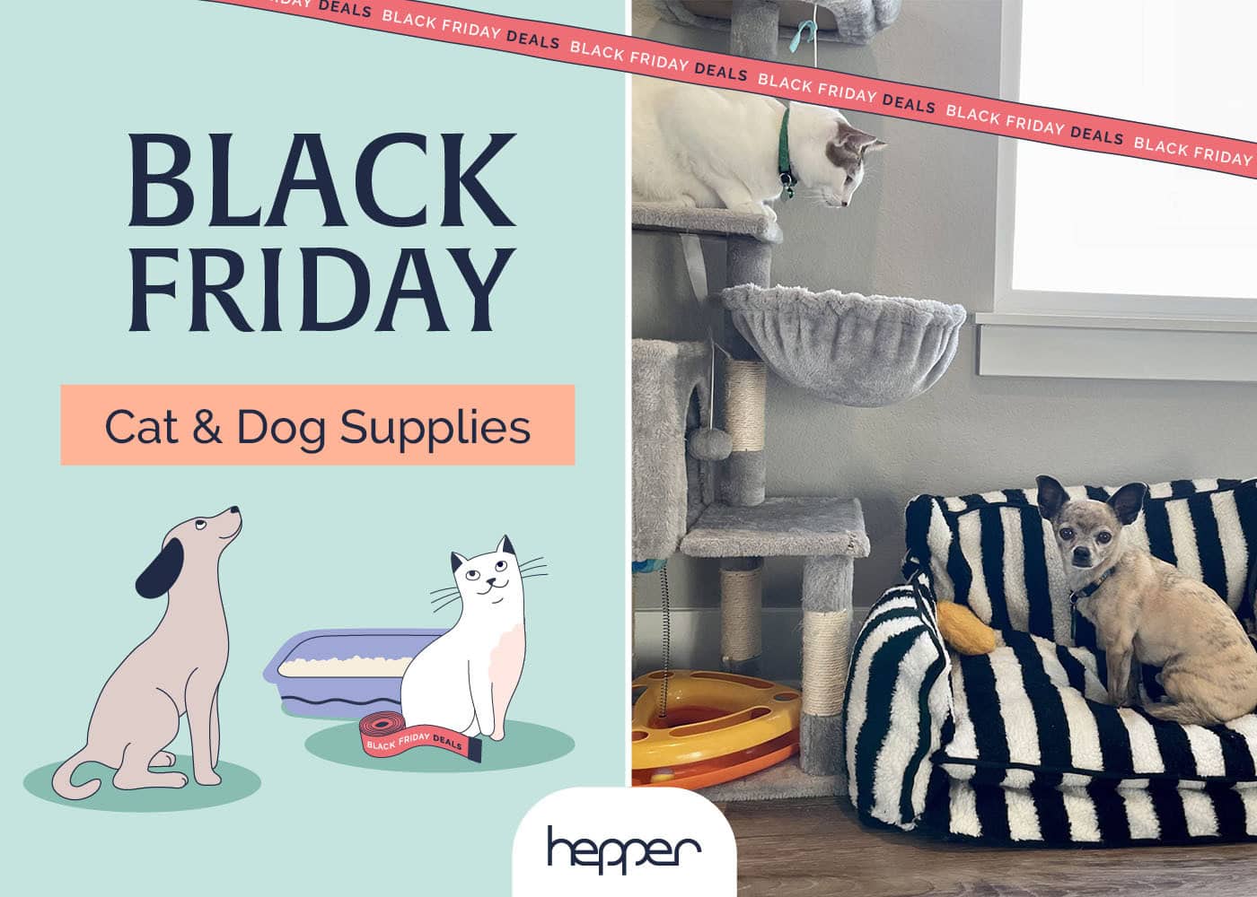 Black Friday & Cyber Monday Pet Deals 2026: Sales on Toys, Beds, Supplies & More