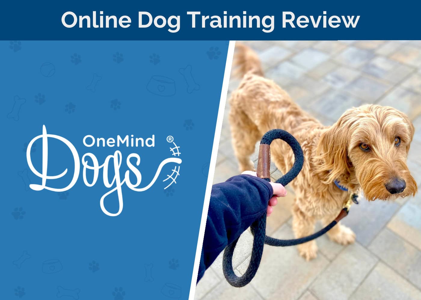 OneMind Dogs Online Puppy Training Course Review 2026: Train Your Puppy Like a Pro