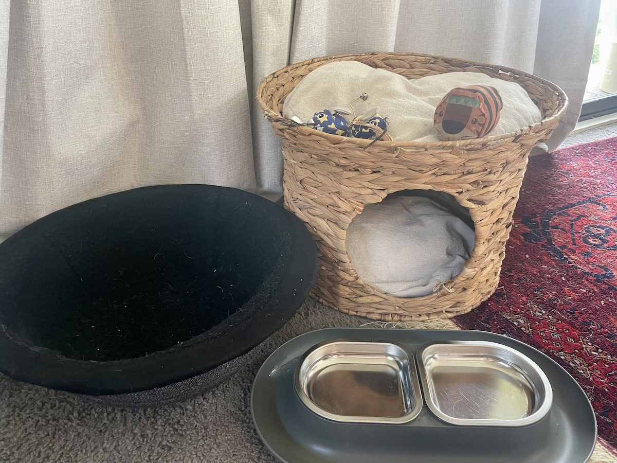 When Is the Right Time to Get Rid of Your Deceased Cat's Things? Nicole's Experience