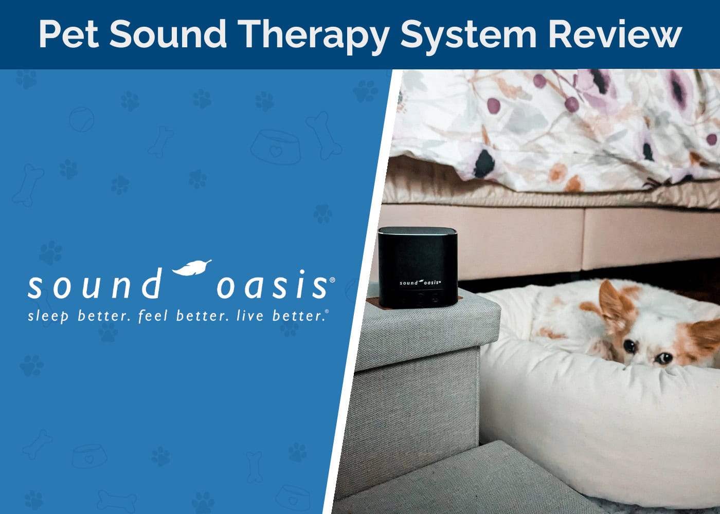Sound Oasis Pet Sound Therapy System Review 2026: Soothing Anxious Pets One Step At A Time