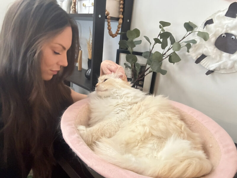 Blue the Therapist: How She Keeps Me Sane While Working From Home
