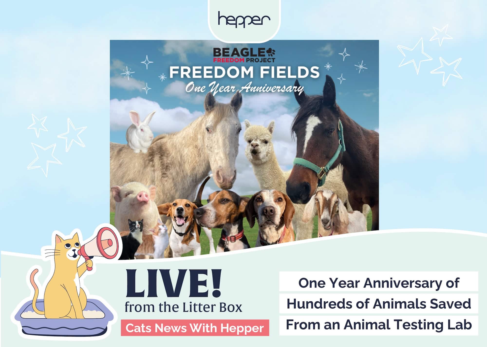 Live From the Litter Box: Celebrating Hundreds of Cats & Dogs Freed With Beagle Freedom Project's One-Year Anniversary of Closing Animal Testing Laboratory