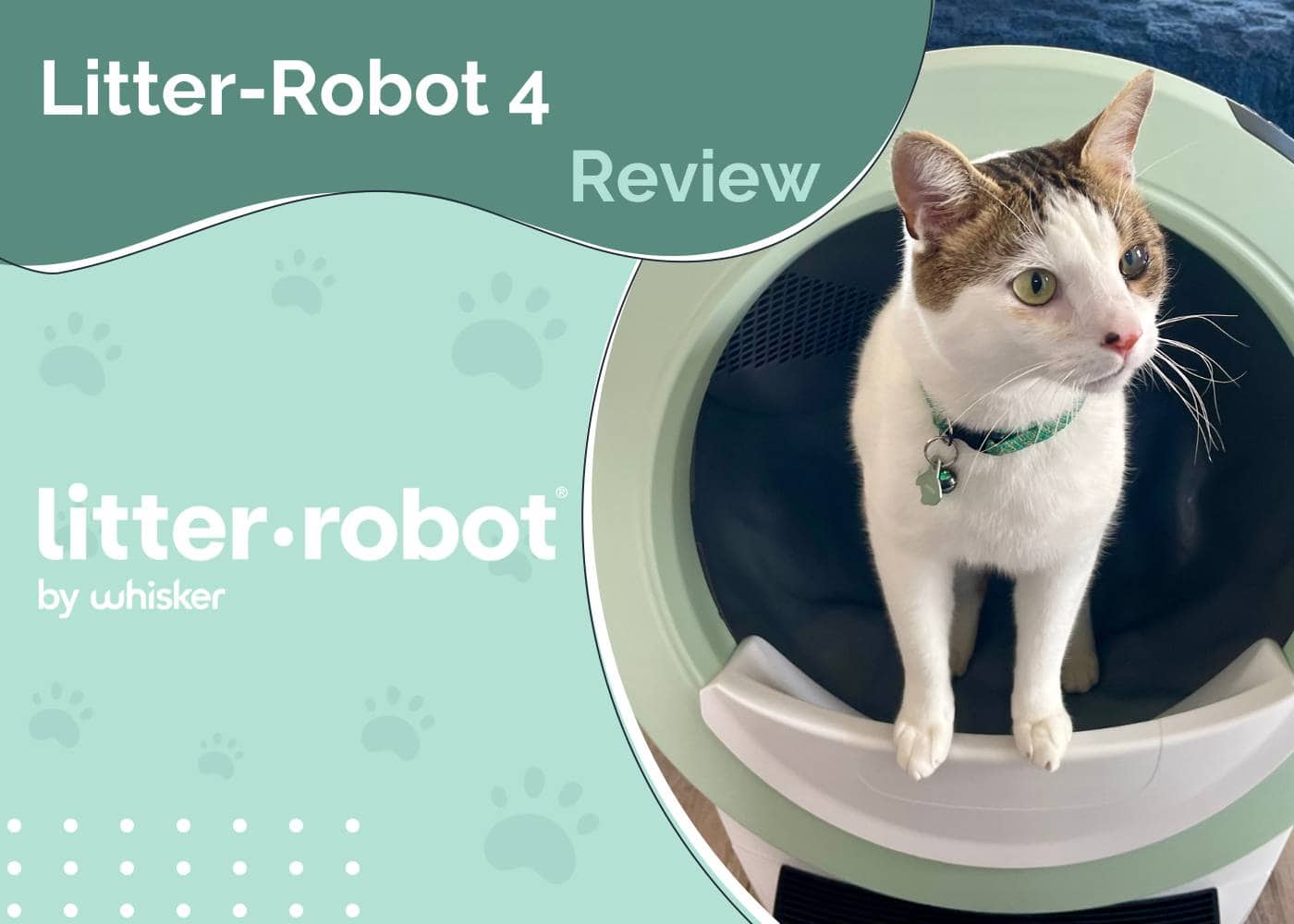 Litter-Robot 4 Review 2026: Style, Convenience & Our Final Verdict