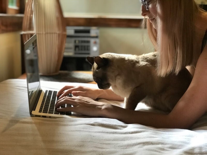 Thank You, Readers, and Thank You Baby Cat (Plus: What's Next!)