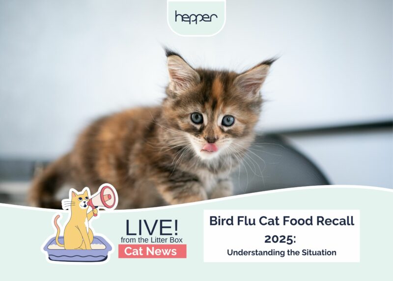 Live From the Litter Box: Bird Flu Cat Food Recall 2025 - Understanding the Situation