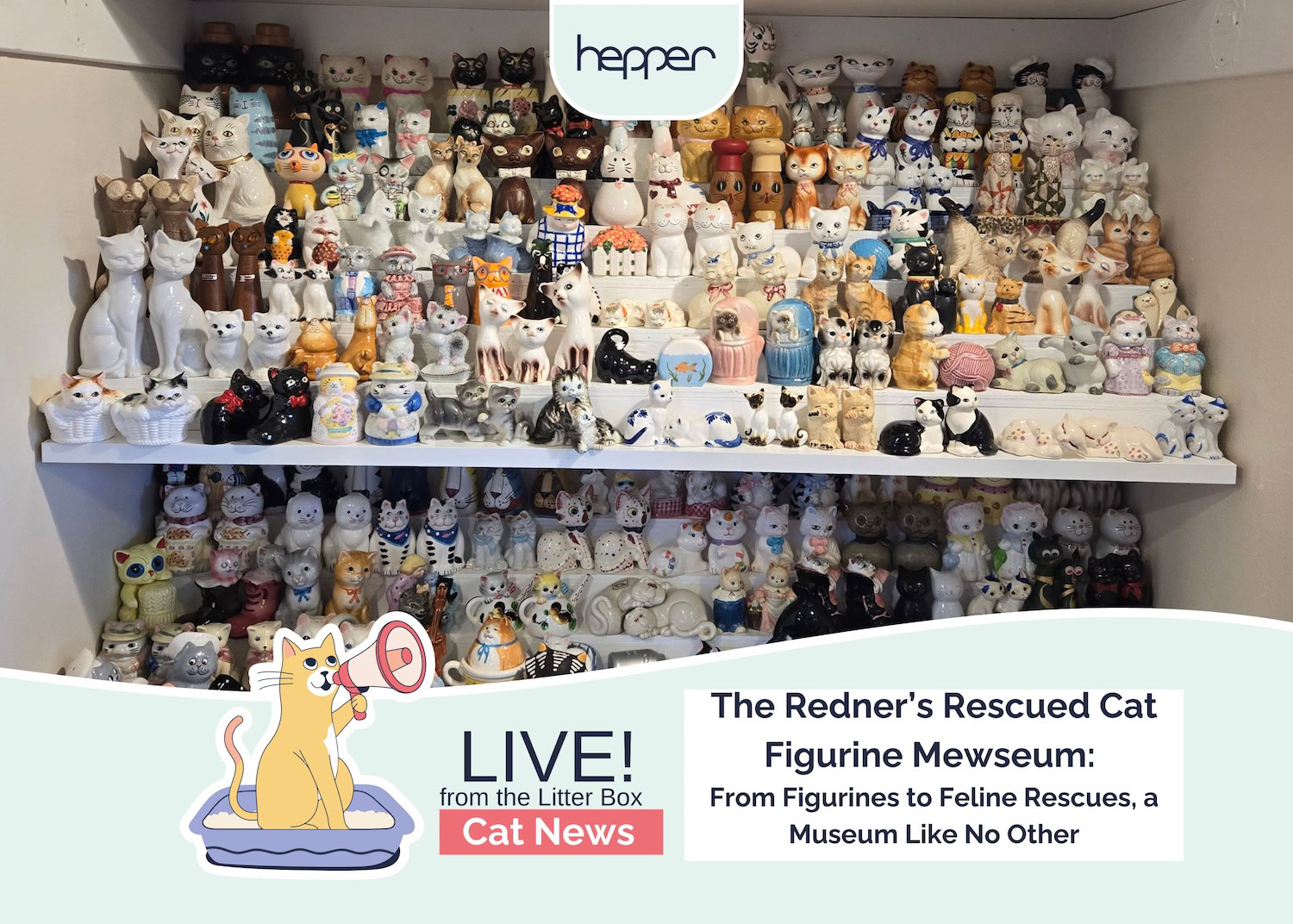 Live From the Litter Box: The Redner’s Rescued Cat Figurine Mewseum: From Figurines to Feline Rescues, a Museum Like No Other