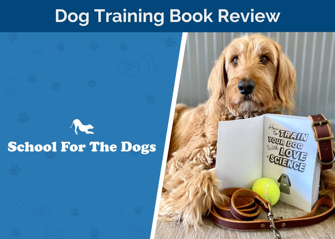 How to Train Your Dog with Love + Science Book Review 2026: The Truth About Dog Training