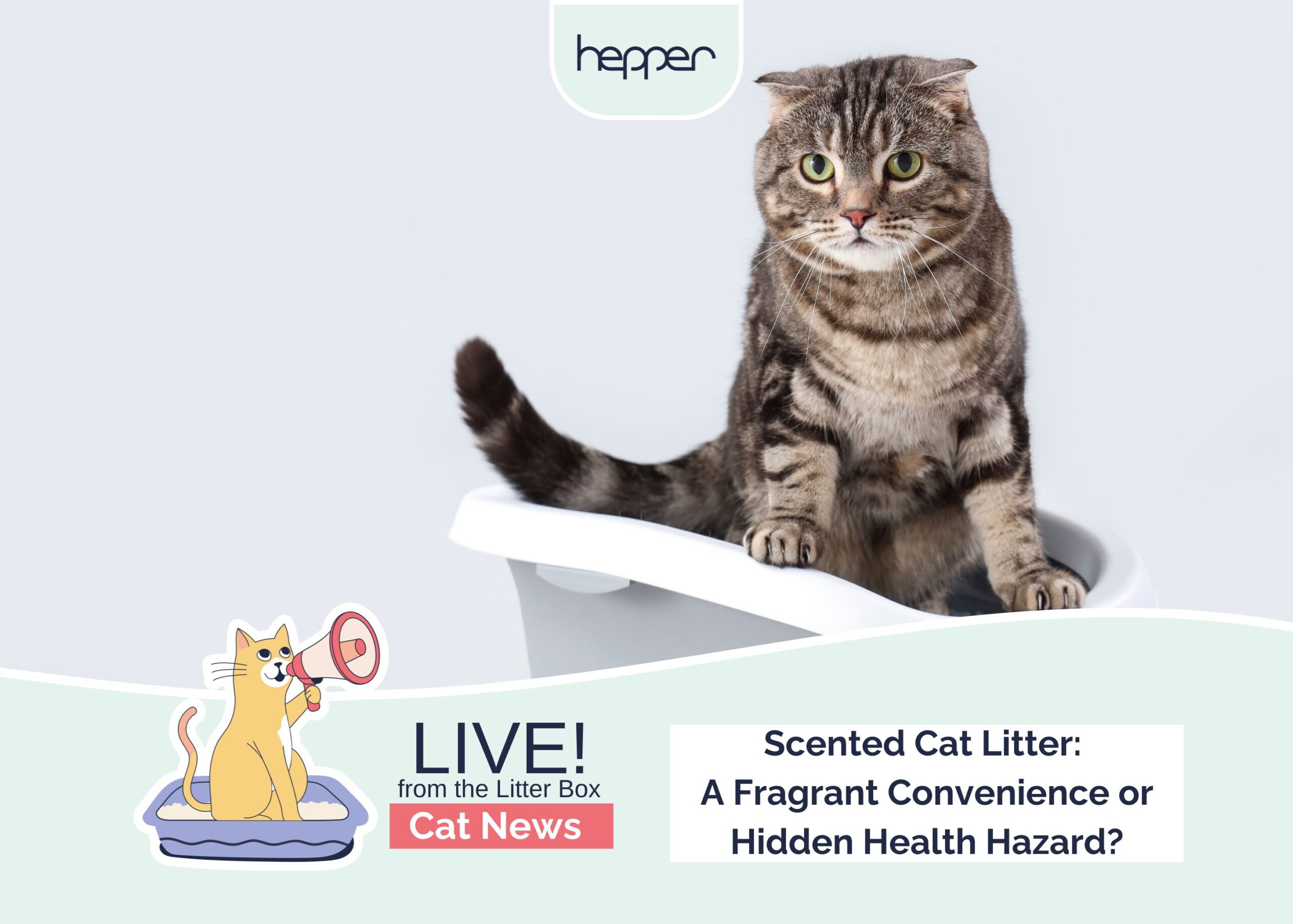 Live From the Litter Box: Scented Cat Litter - A Fragrant Convenience or Hidden Health Hazard?