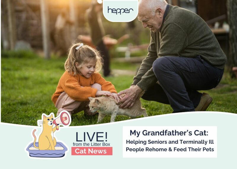 Live From the Litter Box: My Grandfather's Cat - Helping Seniors and Terminally Ill People Rehome & Feed Their Pets