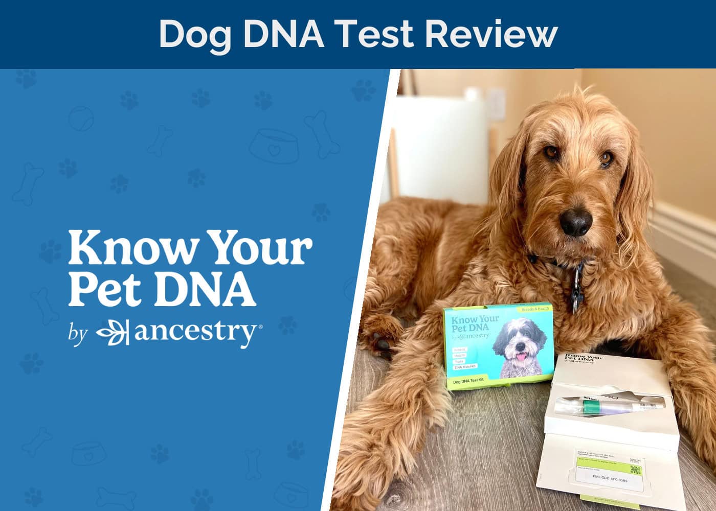 Ancestry Know Your Pet DNA Review 2026: Decoding Your Furry Friend’s Genetics