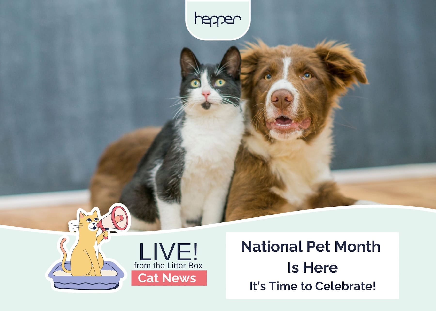 Live From the Litter Box: National Pet Month Is Here & It's Time to Celebrate!