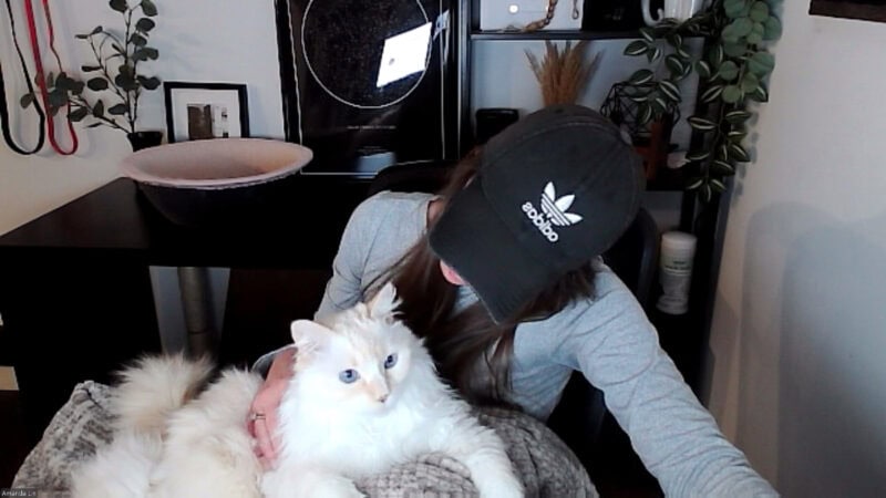 Lap Time is Not Talk Time: Blue's Zoom Etiquette