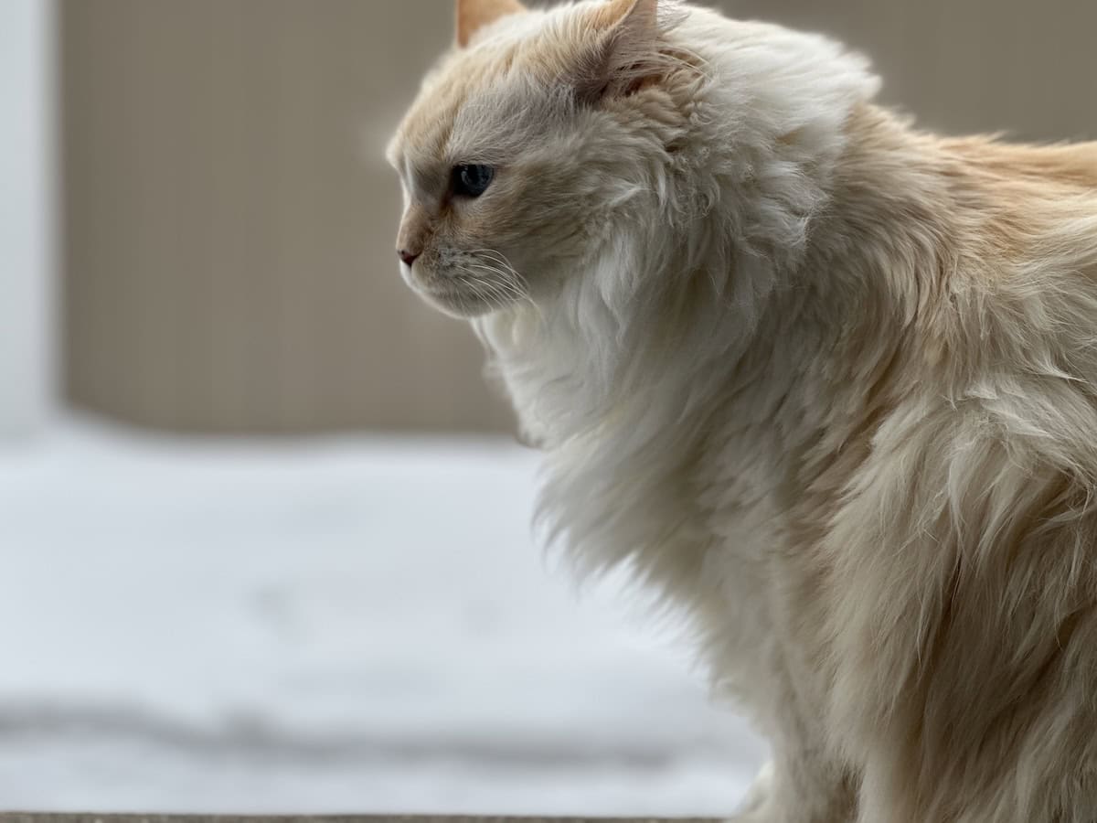 Everything is Wrong: The Worst Things, According to Blue