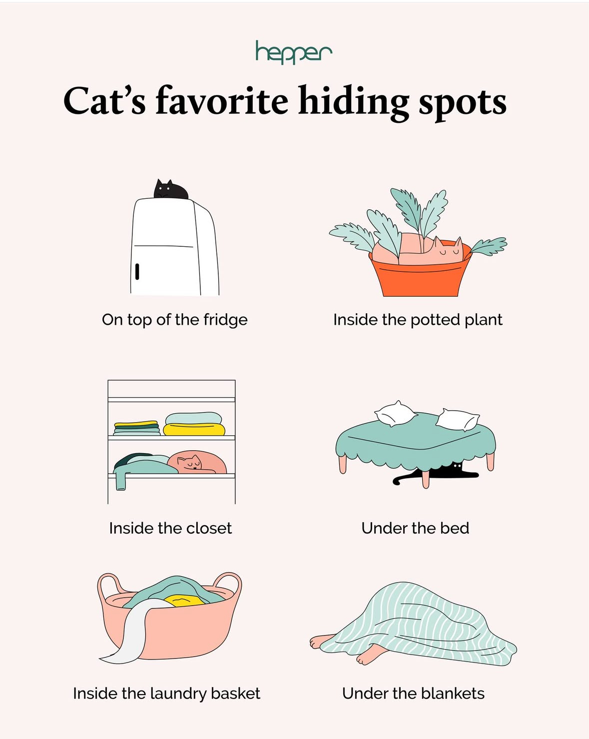 Which does your cat prefer??