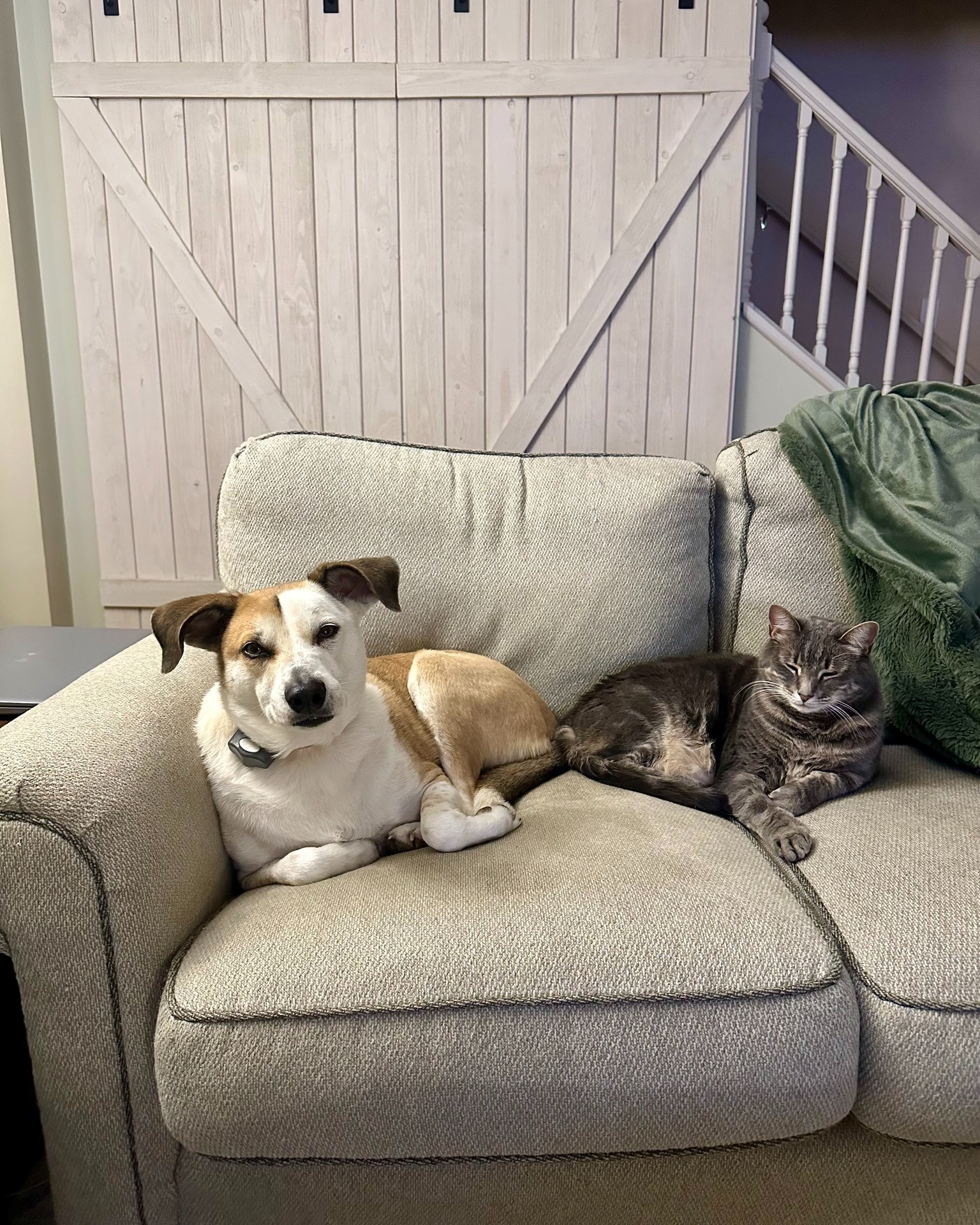 Ready to celebrate the New Year with friends of all shapes and sizes!
